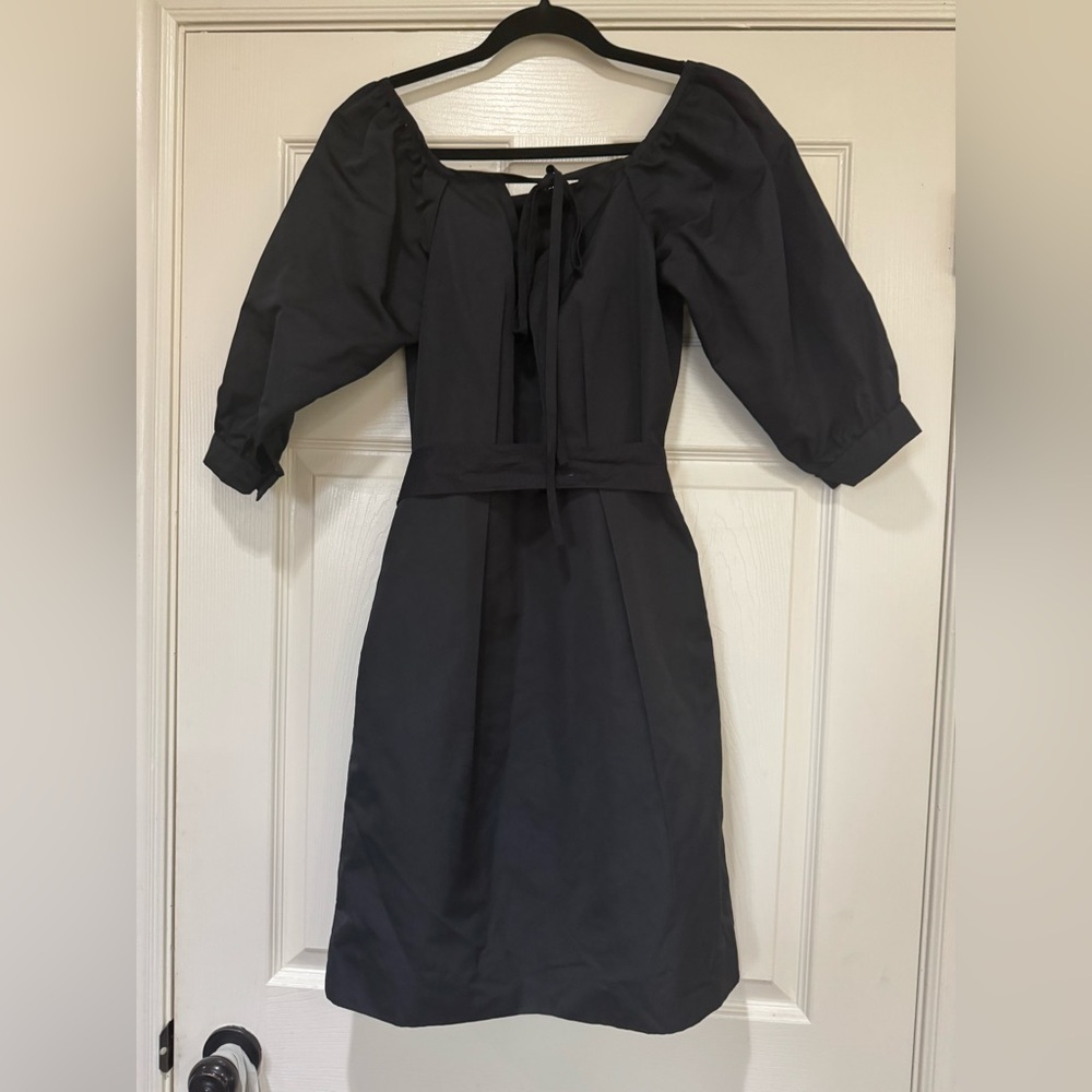 Chloé Silk Blend Dress NWOT | Tie Waist, Pockets, Minimalist Parisian Style - Picture 4 of 8